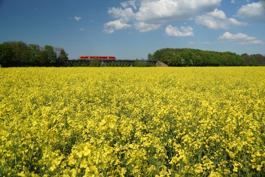Fr&uuml;hling im Ruhrpott