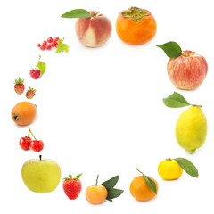 ring of fruits and berries on a white background