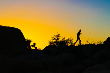 Hiking around Joshua Tree At Sunset