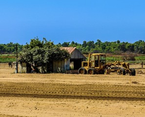 Fototapeta premium The Farm 