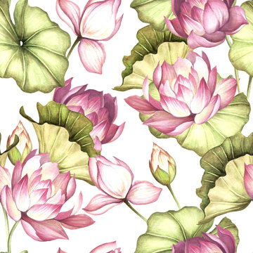 Seamless pattern with lotus. Hand draw watercolor illustration.