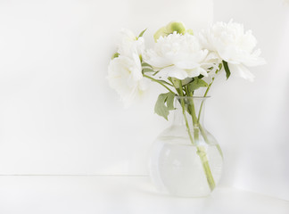 White peony in glass vase on white background