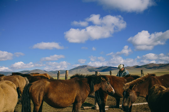 Mongolian horse milk farmer