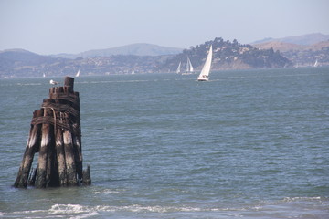 Sailing in the bay