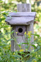 Birdhouse I