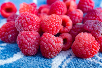 Picked berried on blue blanket
