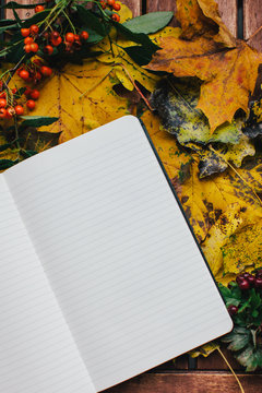Autumn still life