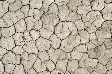 Dry cracked/perched mud/land background/texture