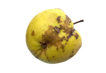 Rotten apple on white background