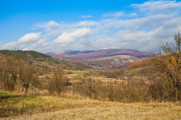 Fototapeta premium Dry trees and sky in Transilvania