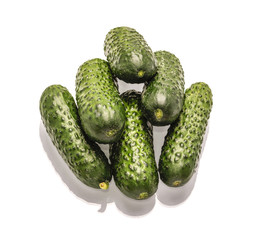 Green cucumber on white background
