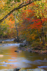 Autumn stream in the mountains with colorful fall foliage