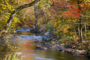 Mountain creek on an autumn day with colorful fall foliage