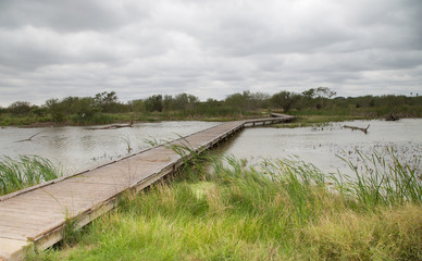 Wooden Boardwalk in the park on a windy winter day