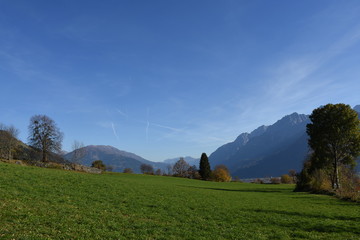Osttirol, Lienz, Lienzer Dolomiten, Lienzer Talboden, Ederplan, Herbst, Rauchkofel, Baum, Laub,...
