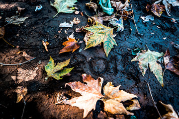 Writing number 2018 years, on soil background