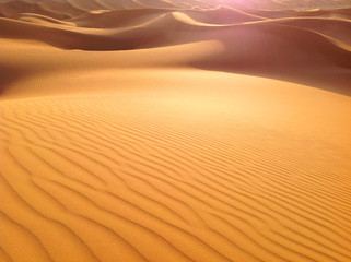 Fototapeta na wymiar Dune in the desert