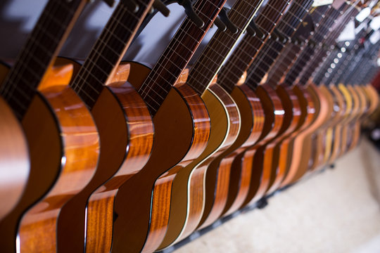line of new acoustic guitars in store