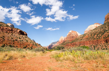 Zion National Park canyon hiking trail. Beautiful landscape with cactus, red rock formations and jagged peaks. Blue sky with white clouds.