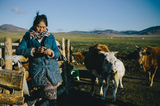 Mongolian farming