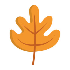 leaf icon image