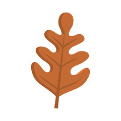 leaf icon image