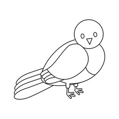 pigeon bird icon