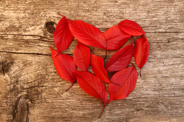 Obraz premium Herz aus Herbstlaub