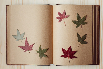 Autumn leaves on the blank notebook pages