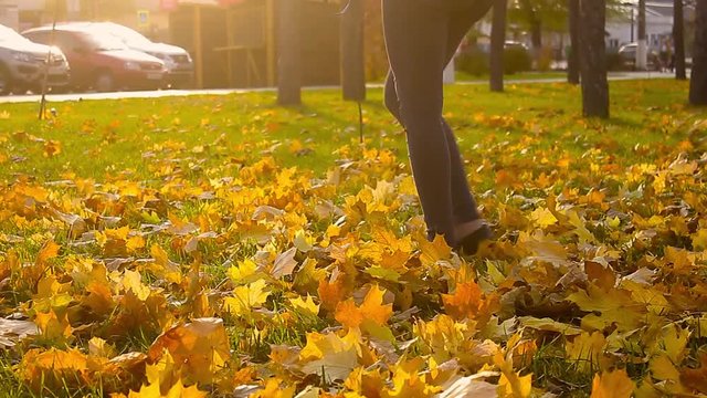 Woman walk and kick up yellow leaves by shoe tip, elegant slim legs in black shoes. Lady stroll at park in golden autumn time, play with leaf litter at lawn, throw up dry crunchy colourful leafage.