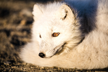 Rodzina w terenie © blackspeed