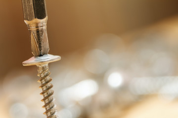 Screwdriver inserted into screw head. Macro photography isolated on blurred background. - obrazy, fototapety, plakaty
