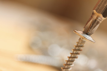 Screwdriver inserted into screw head. Macro photography isolated on blurred background.
