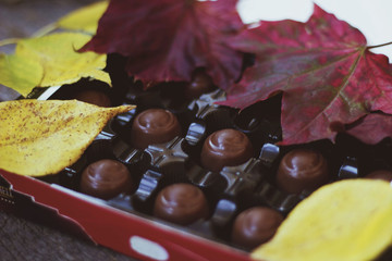 chocolate candy in an open box with autumn leaves