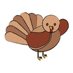 cartoon turkey icon