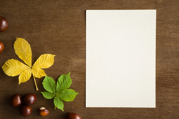 Naklejka na ściany i meble Welcome autumn. White blank autumn greeting card with yellow and green leaves and chestnuts on the wooden table. Empty place for delight autumnal exhilarating text for good mood. Top view.