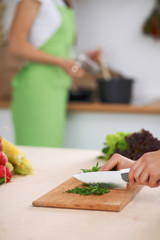 Close-up of human hands cooking vegetables salad in kitchen. Healthy meal and vegetarian concept