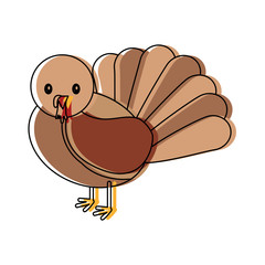 cartoon turkey icon