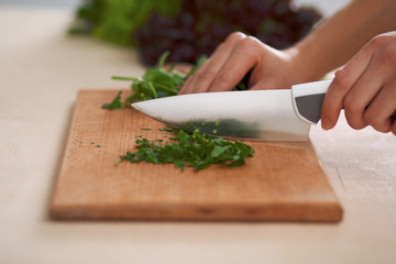Close-up of human hands cooking vegetables salad in kitchen. Healthy meal and vegetarian concept