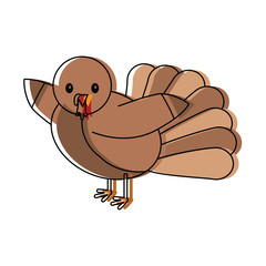 cartoon turkey icon