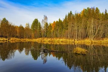 russian reflections VI