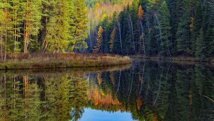 russian reflections V