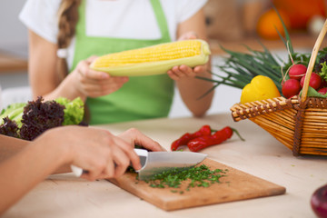 Close-up of human hands cooking vegetables salad in kitchen. Healthy meal and vegetarian concept