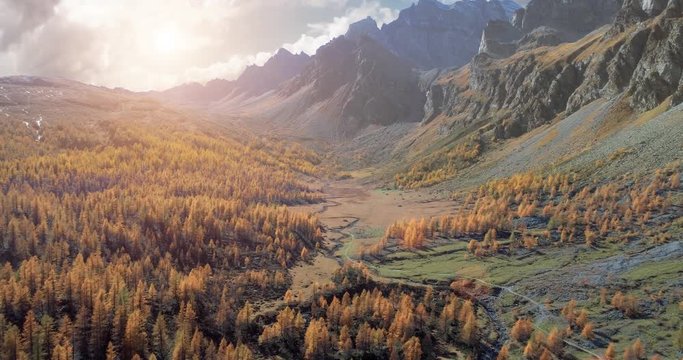 forward aerial over alpine mountain valley and orange larch forest woods in sunny autumn.Alps outdoor mountains wild fall nature at sunset or sunrise establisher.4k drone flight establishing shot