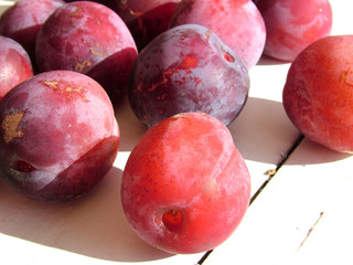 Summer plums