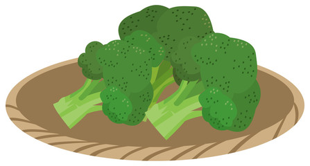 ブロッコリー　イメージイラスト