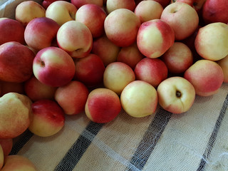 peaches