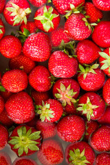 Closeup of fresh ripe perfect strawberries in waterbath directly from above