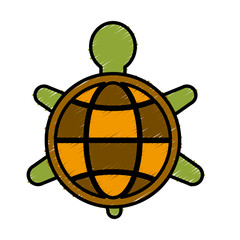 Turtle animal symbol icon vector illustration graphic design