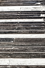 abstract texture of a wood  wall